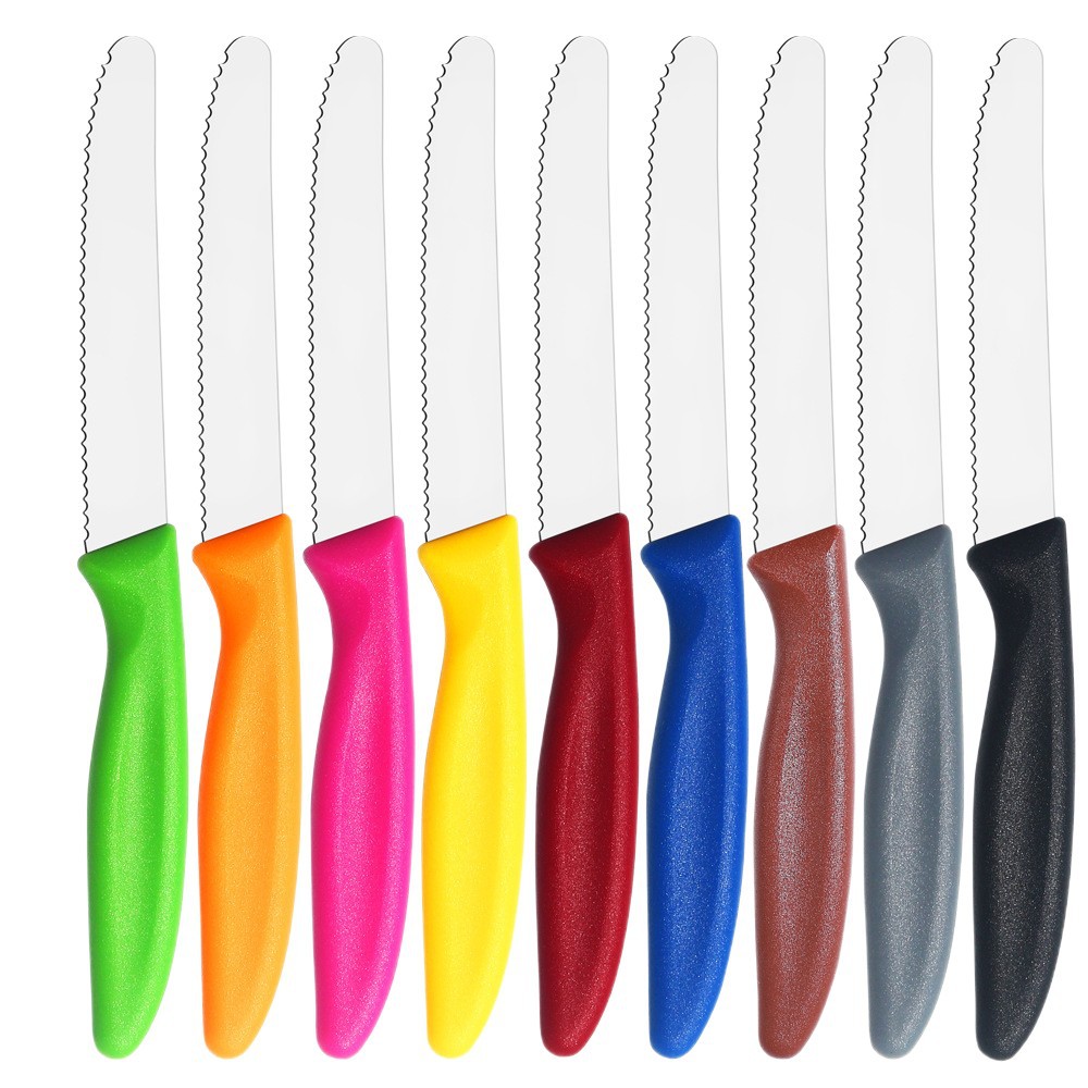 Ergonomic Color PP Handle Steak Knife